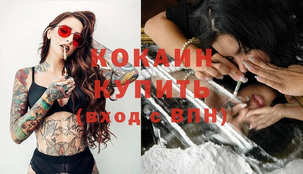 ГАЛЛЮЦИНОГЕННЫЕ ГРИБЫ Магадан