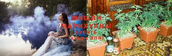 Альфа ПВП Кохма