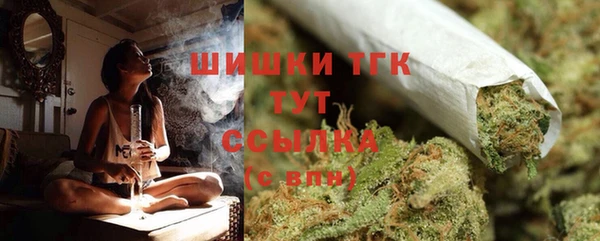 ГАЛЛЮЦИНОГЕННЫЕ ГРИБЫ Магадан