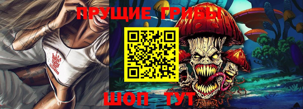 Моршанск  Псилоцибиновые грибы прущие грибы  Вход с VPN 